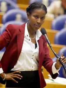 hirsiali.jpg
