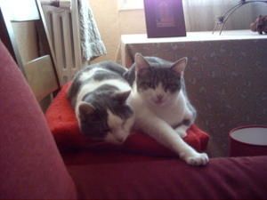 jef-et-lulu.JPG