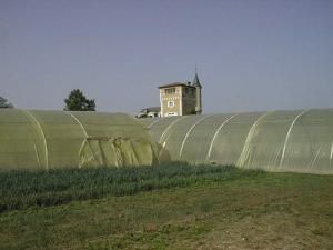 Serres de l'atelier jardin et la tour du Château
