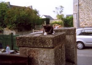 Nougnoug3-copie-1.jpg