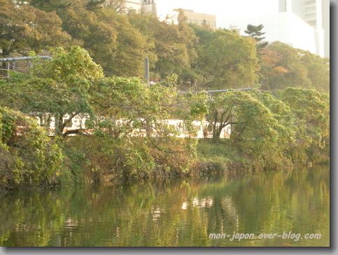 canal-cafe-6