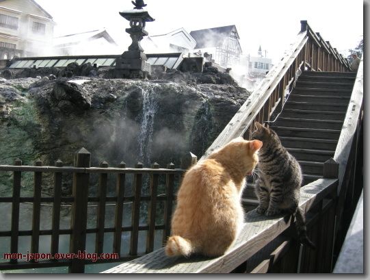 Kusatsu-yubatake-1.jpg