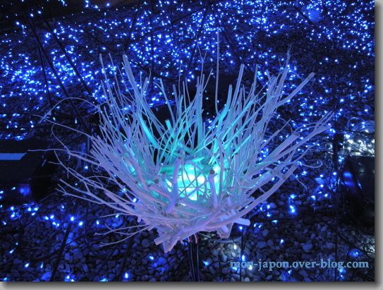 Illuminations-la-vague-3