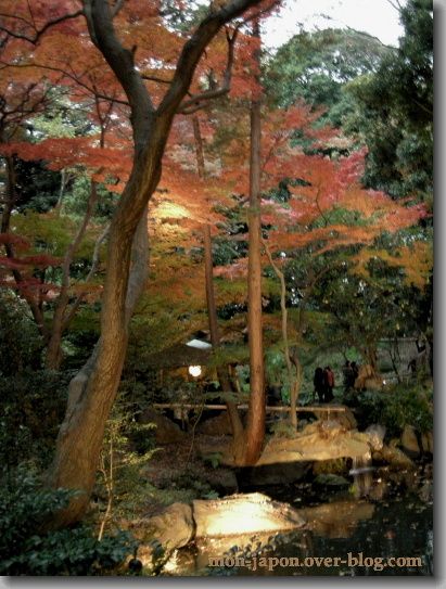Rikugien-2