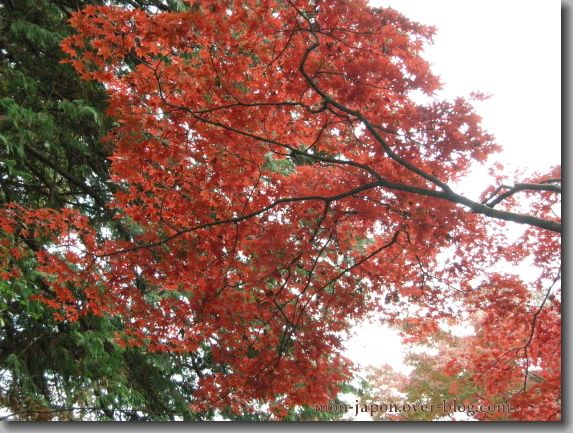 Rikugien-automne-6