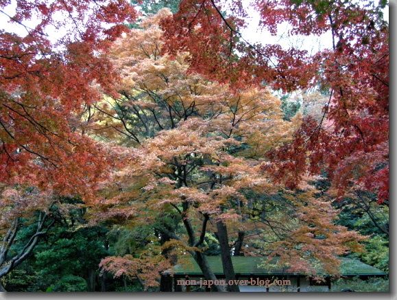 Rikugien-automne-7