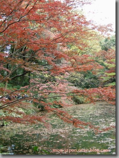 Rikugien-automne-9