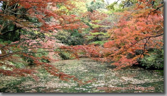 Rikugien-automne-9A