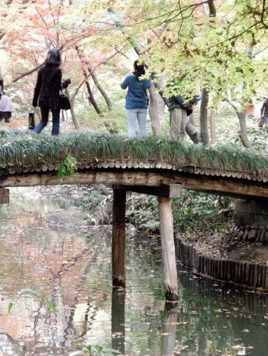 Rikugien-automne-9B-pont