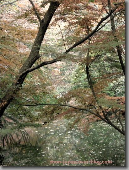 Rikugien-automne-9C