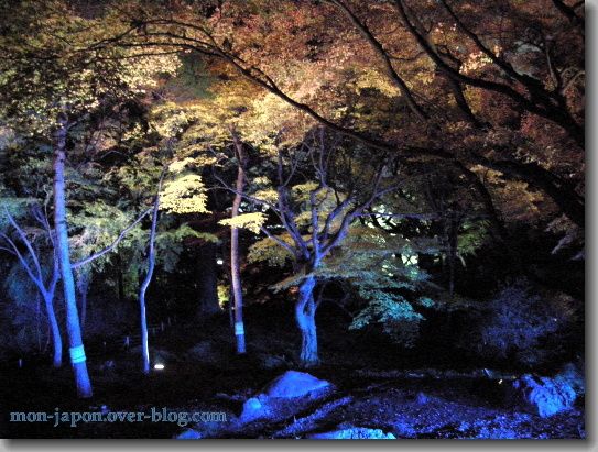 Rikugien-nuit-bleue-1