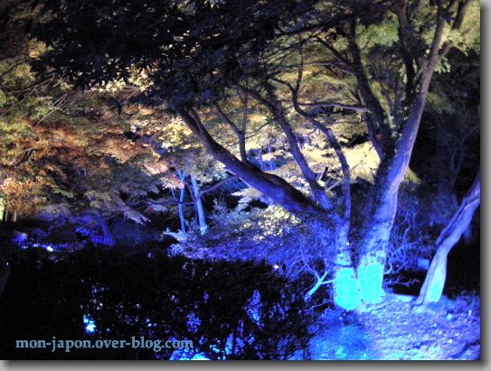 Rikugien-nuit-bleue-2
