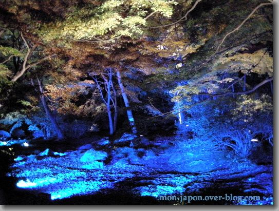 Rikugien-nuit-bleue-3