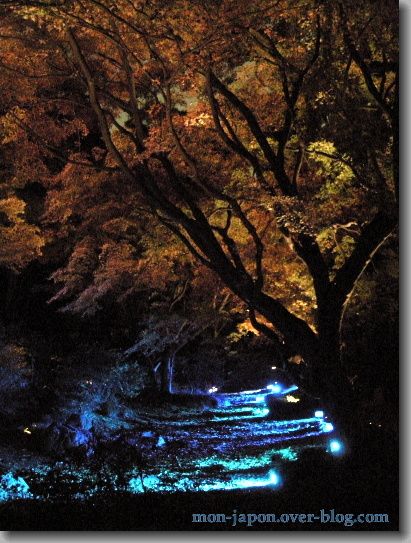 Rikugien-nuit-bleue-4