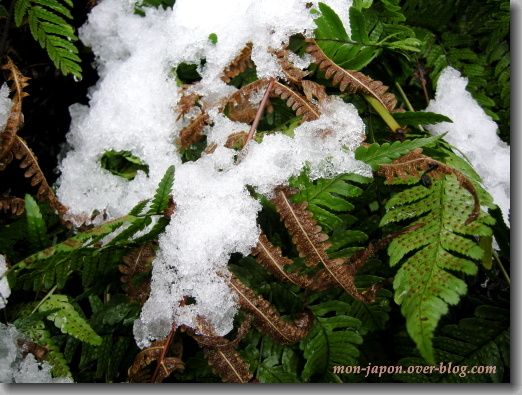 rikugien-neige-6.jpg