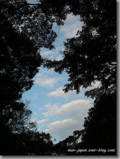ciel-2