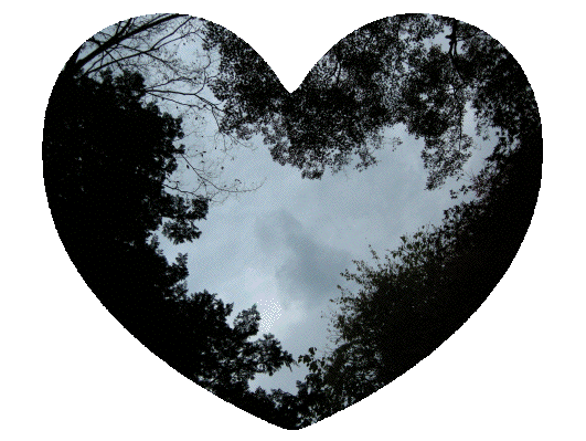 ciel-3