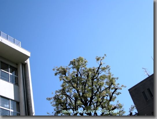 ciel-bleu.jpg