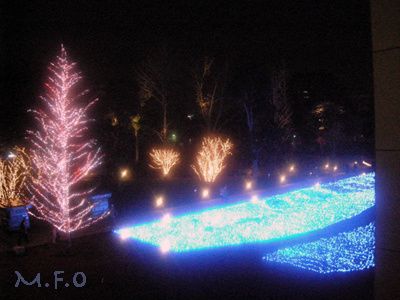 voie-lacte-arbres.jpg