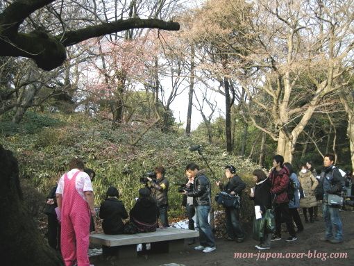 Azumi-Ishizuka-1.jpg