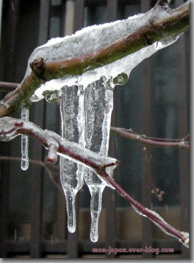glace-1.jpg