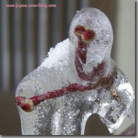 glace-2.jpg