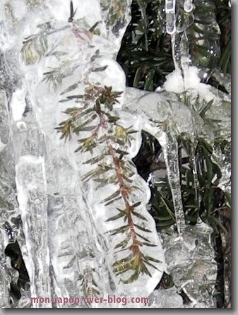 glace-5.jpg