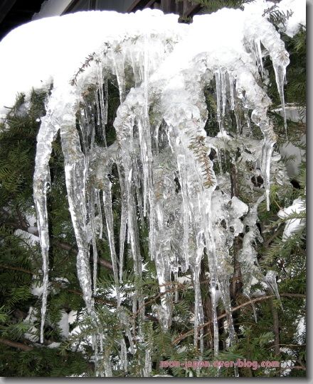 glace-6.jpg