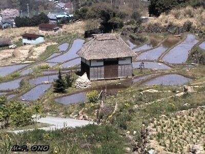 rizi--re-etage.jpg