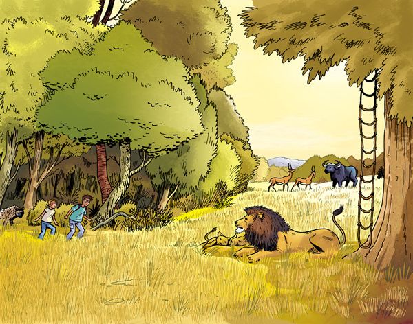 savane-RVB-copie-1.jpg