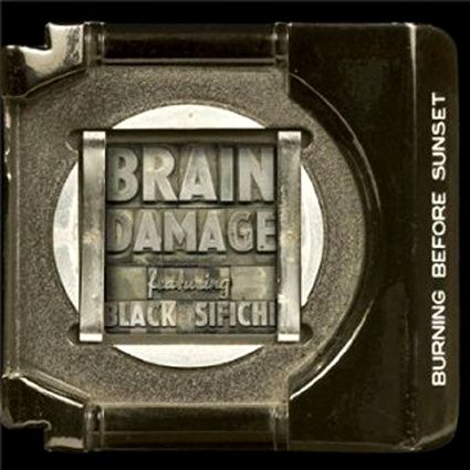 braindamagefeatblacksifichi