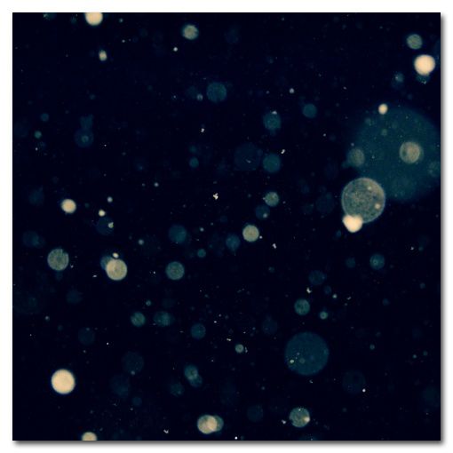 LNA001
