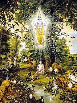 Paramatma, l'Ame Suprême, est présente dans le coeur de chaque être vivant et l'accompagne à travers ses différentes incarnations dans l'univers matériel