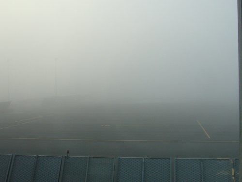 P1020489.JPG
