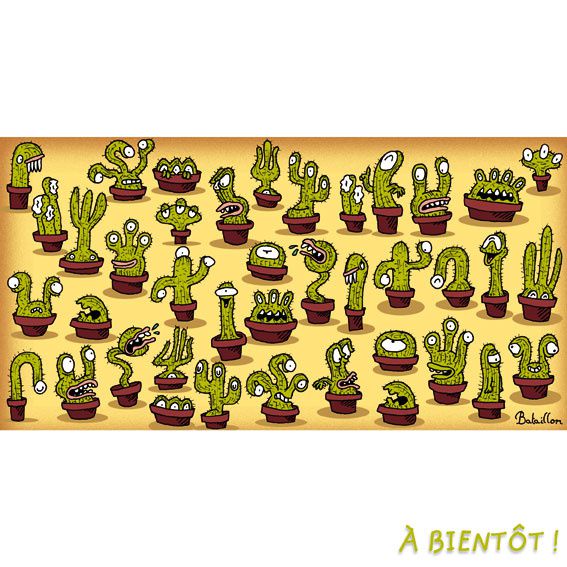 Cactus-blog