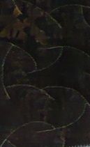 P1160746-2.JPG
