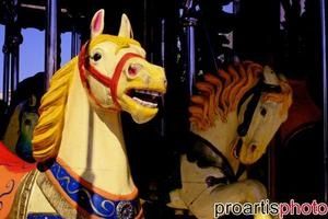 cheval.jpg