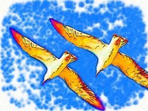 mouettes_pardeux.jpg