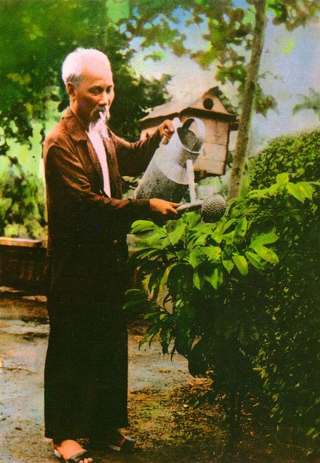 __HoChiMinh_1956.jpg