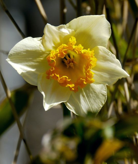 P1210738