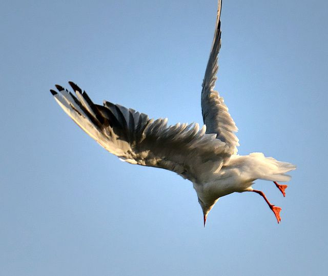 640pixDSC_4762b.jpg