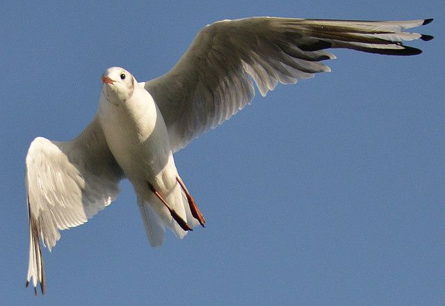 640pixDSC_4776.jpg