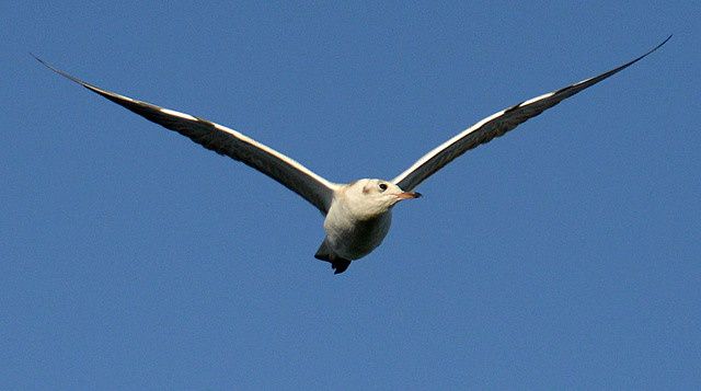 640pixDSC_4784.jpg