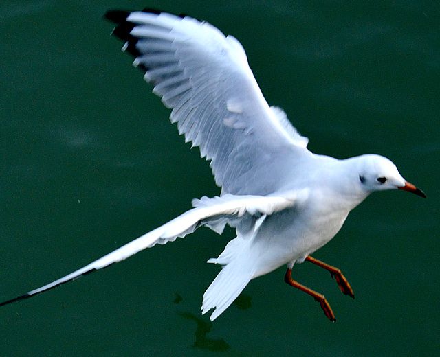 640pixDSC_4806.jpg