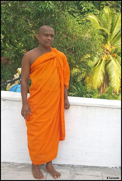 moine-Boudhiste-Sri-Lanka.jpg