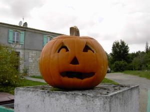 Haloween.jpg