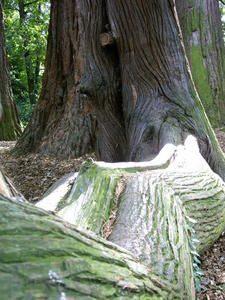29sept-028.jpg
