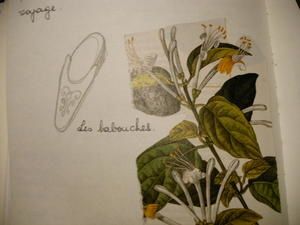 carnet-004.jpg