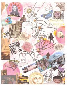 collage-carol-renum--ris--.jpg