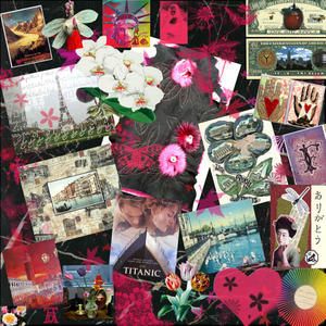 collage-framboise.jpg